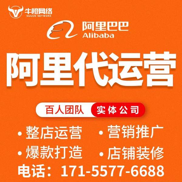 潮州电商代运营