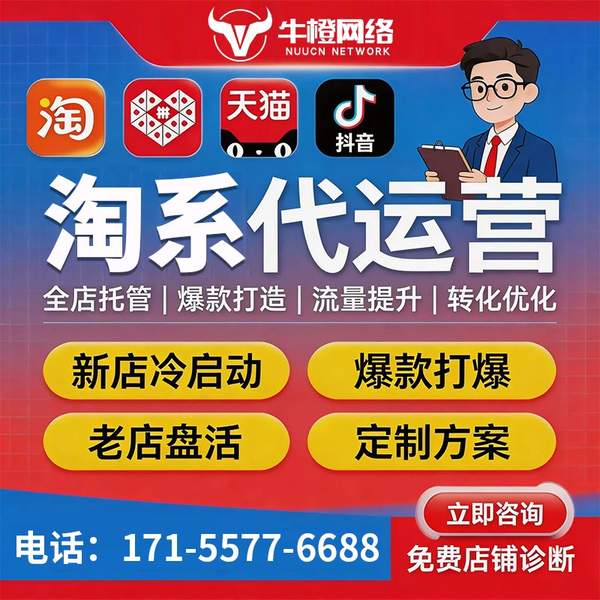 潮州电商代运营