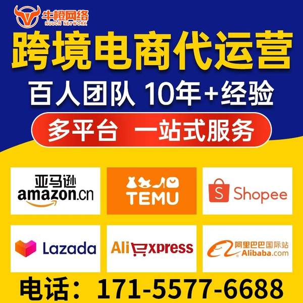 潮州电商代运营