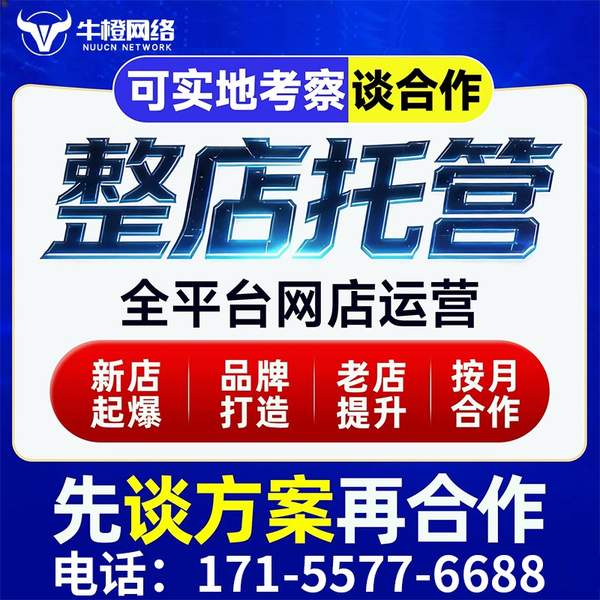 潮州电商代运营