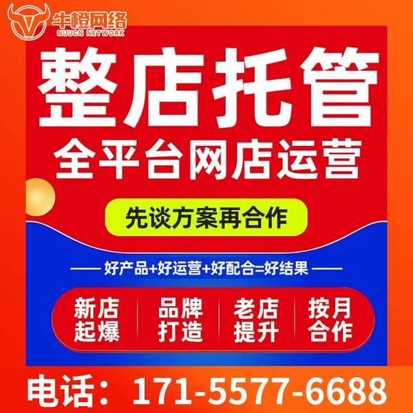 潮州电商代运营