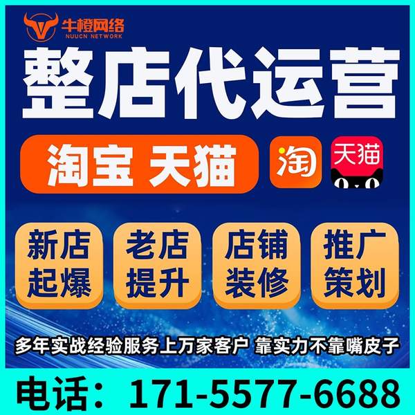 潮州电商代运营
