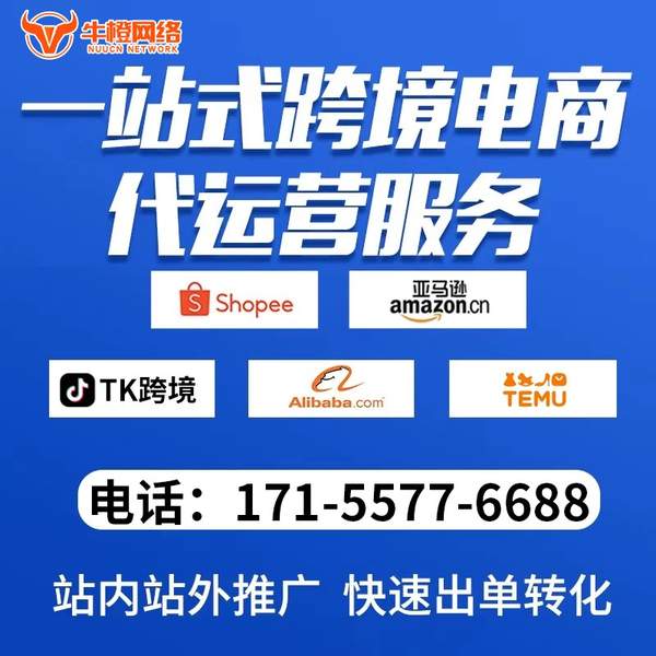 潮州电商代运营