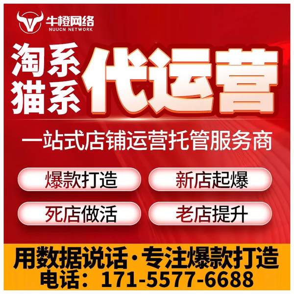 潮州电商代运营